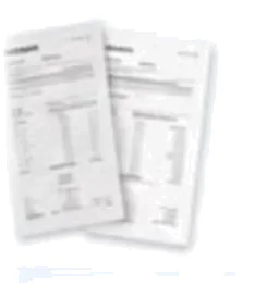 Payslip sample document (latest 3 months)
